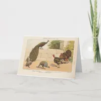 Peacock,Turkey, & Guinea Fowl Card