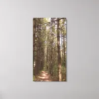 Trail in a Pine Tree Forest Photo  Canvas Print