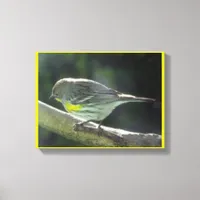 Canvas print - Yellow Breasted Bird on Branch