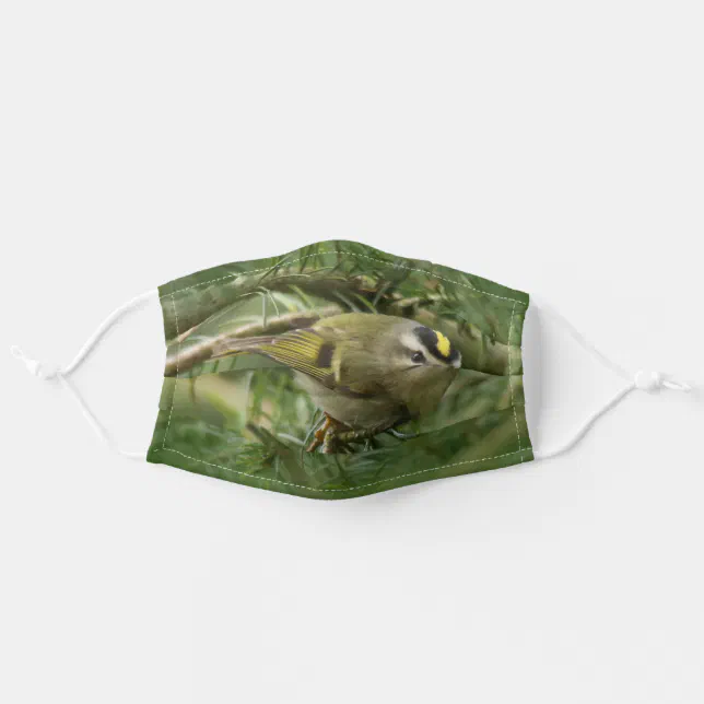 Cute Kinglet Songbird Causes Stir in the Fir Adult Cloth Face Mask