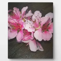 Peach Blossoms Plaque