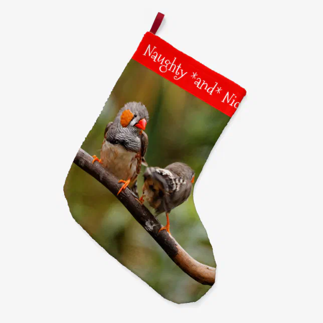 A Cheeky Pair of Zebra Finches Songbirds Large Christmas Stocking