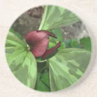 wildflower trilium coaster