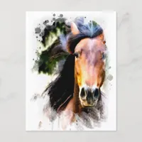 *~ Horse Artistic  Painting Equine AR22 Artsy Postcard