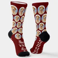 Custom Dog Pet Photo Never Walk Alone Paw Prints Socks