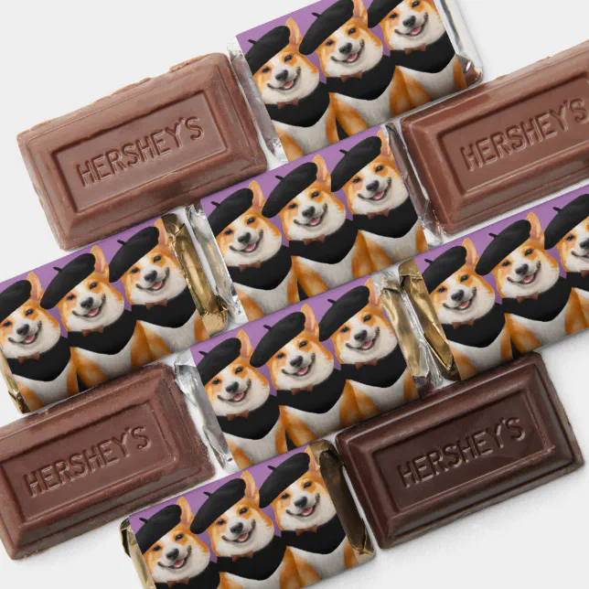 Cute Chic Corgi Dogs Wearing Berets & Bandanas Hershey's Miniatures