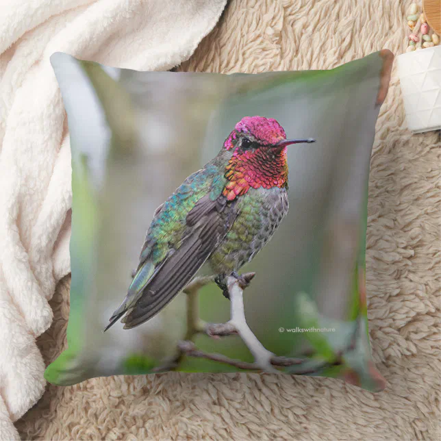 Stunning Anna's Hummingbird in Plum Tree Throw Pillow