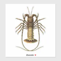 Vintage Lobster Sticker