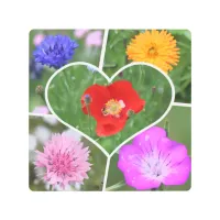 My Heart is Filled with Flowers Photo Collage Metal Print