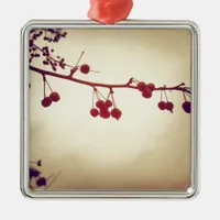 Color in a dreary winter day metal ornament