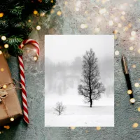 Winter landscape snow tree fog birch postcard