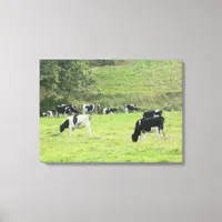 Cows in the Country Pasture Photo Wall Canvas Art