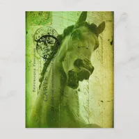 Grunge Horse Postcard-Like Postcard