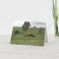 Happy Birthday Peaceful Day Cows in Field Card