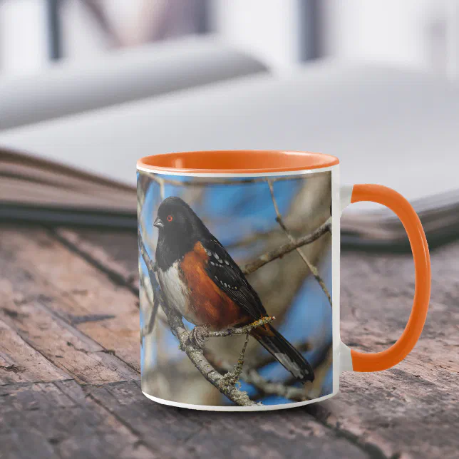 Stunning Spotted Towhee Songbird on Branch Mug