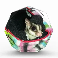 Sugar Glider Wearing a Hat Acrylic Award