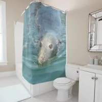 Cute Seal from Cape Cod Shower Curtain