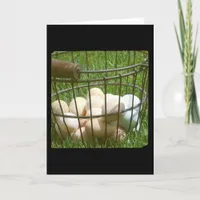 Eggs all occasions card