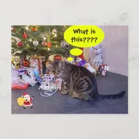 Funny holiday card with kitten and Santa Claus