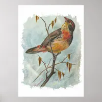 Vintage Bird Poster
