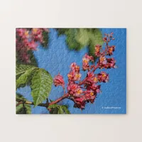 Pink Horse Chestnut Blossoms Jigsaw Puzzle