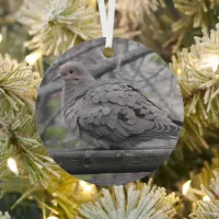 Fluffy Dove, Wishing you a Peaceful New Year   Metal Ornament