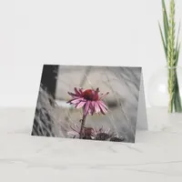Coneflowers Card