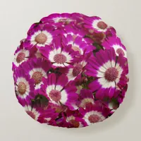 Beautiful Purple Cineraria Flowers Round Pillow