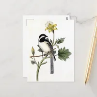 Vintage bird and a yellow flower postcard