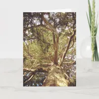 Tree Card