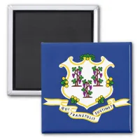 Connecticut State Flag Magnet