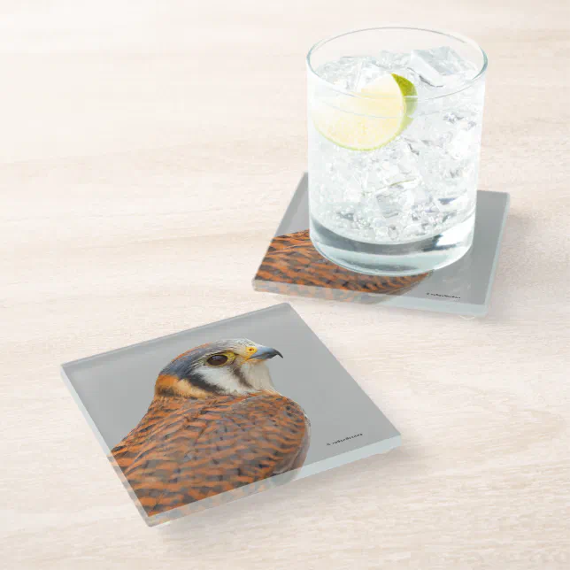 Stunning American Kestrel Sparrowhawk Falcon Glass Coaster