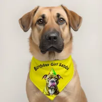 Birthday Girl Pitbull Personalized Pet Bandana Collar