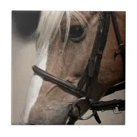Palomino Horse in Bridle Ceramic Tile