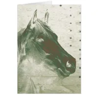 Ghost Horse