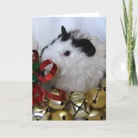 Jingle Bell Guinea Pig Holiday Card