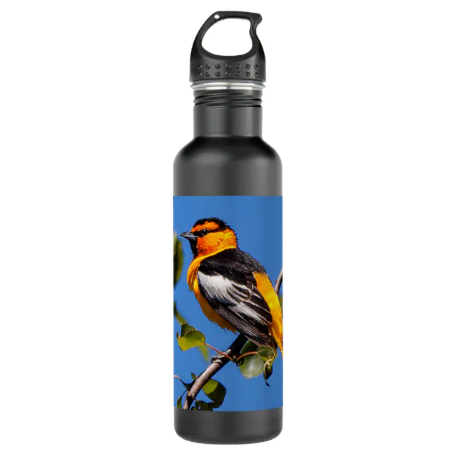 Beautiful Bullock's Oriole the Pear Tree Stainless Steel Water Bottle