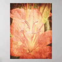 After the Rain, Lily With Texture Poster