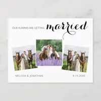 Custom 3 Photo Horse Pet Wedding Save The Date Announcement Postcard