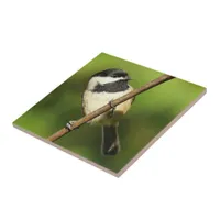 Curious Black-Capped Chickadee on the Grapevine Ceramic Tile