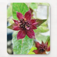 Pretty Plant Mouse Pad