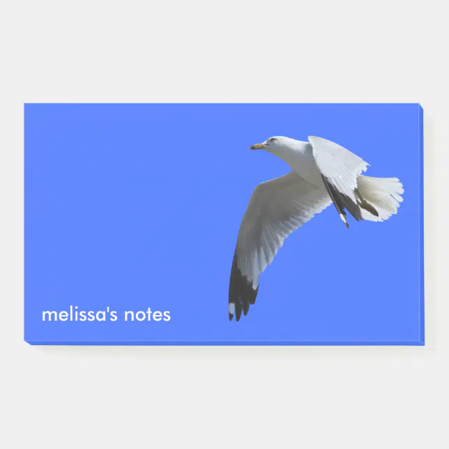 Breathtaking Ring-Billed Gull in Flight Post-it Notes