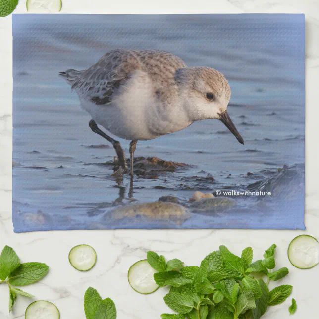 Sanderling Strolling a Winter Beach Towel