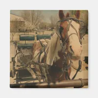 Pinto Buggy Horse Magnet