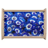 Beautiful Royal Blue Cineraria Flowers Serving Tray