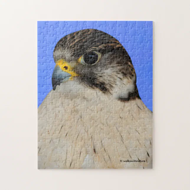 Gyrfalcon Saker Hybrid Falcon Jigsaw Puzzle