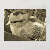 Adorable Chick Playing in the Garden Postcard