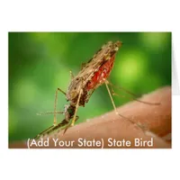 Full Mosquito - State Bird