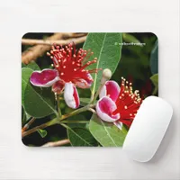 Pineapple Guava / Guavasteen Flowers Mouse Pad