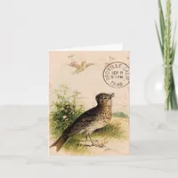 Vintage Bird, Birthday Card